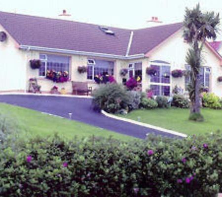 The Yellow Rose B&B Belderg Экстерьер фото